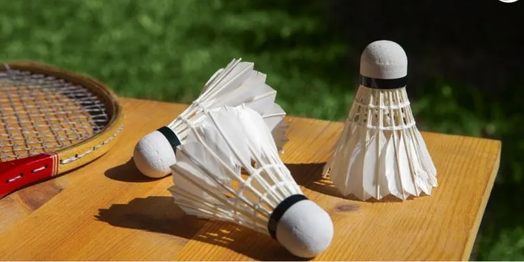 Bắt Kèo Cá Cược Cầu Lông CWin Luôn Thắng Từ Chuyên Gia