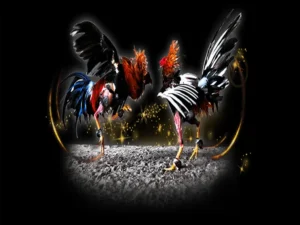 Cách Chơi Đá Gà Sabong Tại Cwin Từ A Đến Z Cho Tân Thủ