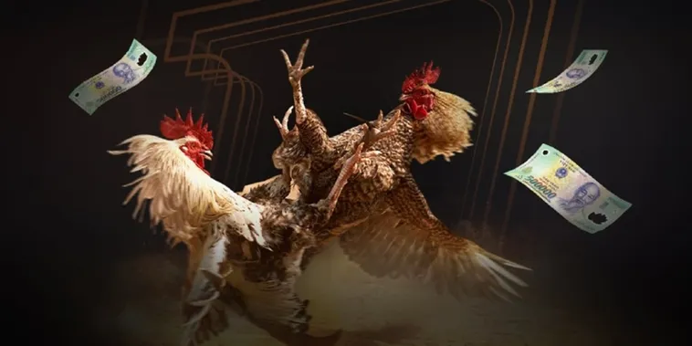 Đá Gà CWin Trực Tiếp Bùng Nổ Cảm Xúc Thắng Lớn 1 Đá Gà CWin Trực Tiếp Bùng Nổ Cảm Xúc Thắng Lớn