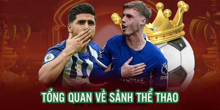 Cá Cược Thể Thao Cwin Đỉnh Cao Cháy Cùng Đam Mê