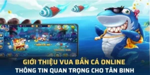 Trở Thành Vua Bắn Cá Cwin Với Mẹo Chơi Độc Quyền Từ Cao Thủ